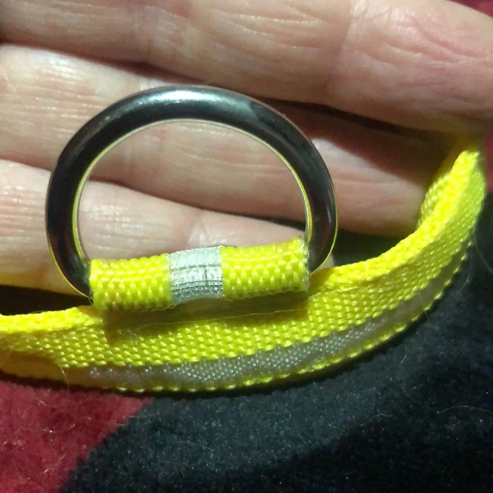 🛍Light‎ up Dog collar with ring.